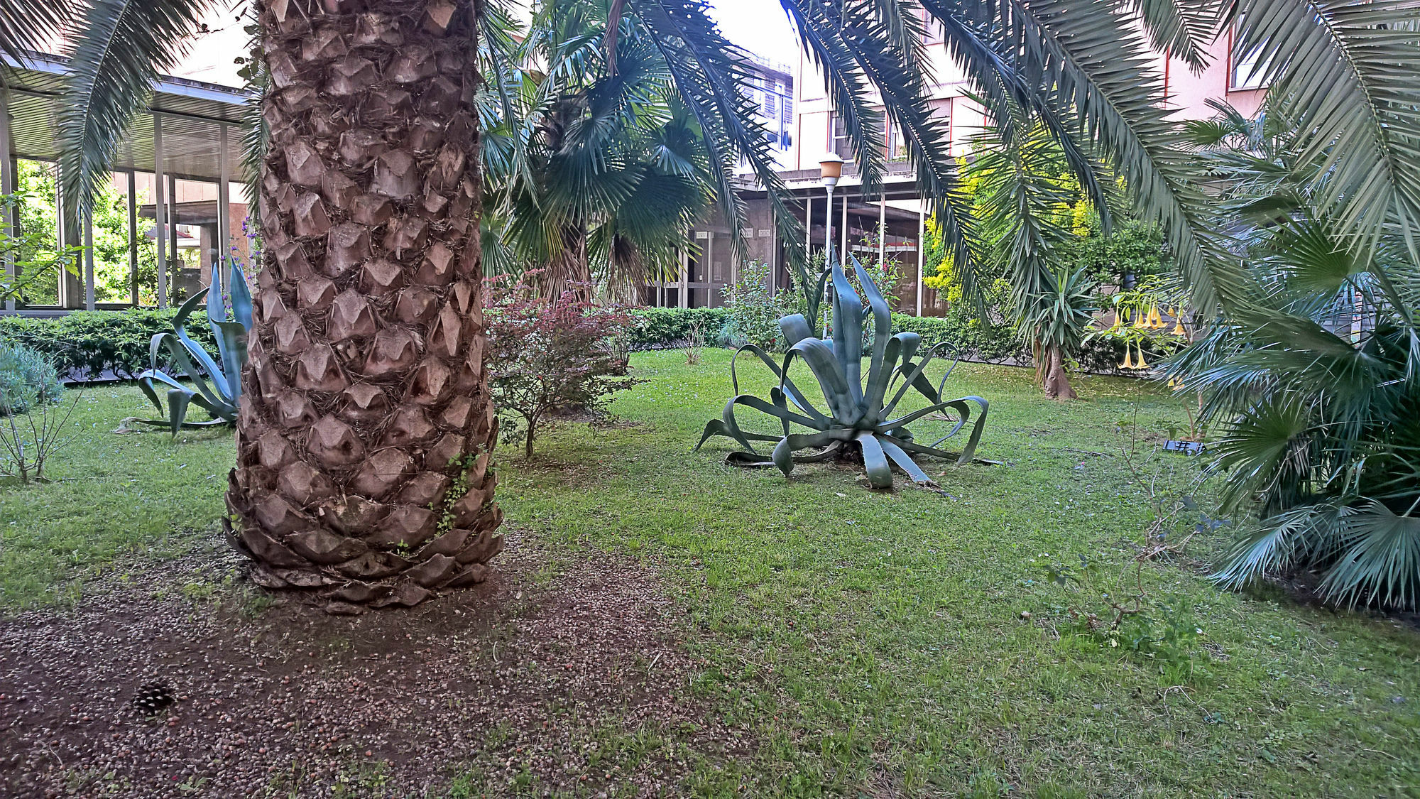 Gasthuis Ecohouse & Bioveg Cafe Rome